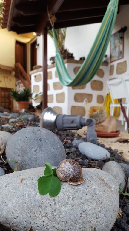 Casa Rural El Traspatio グラナディージャ・デ・アボナ エクステリア 写真